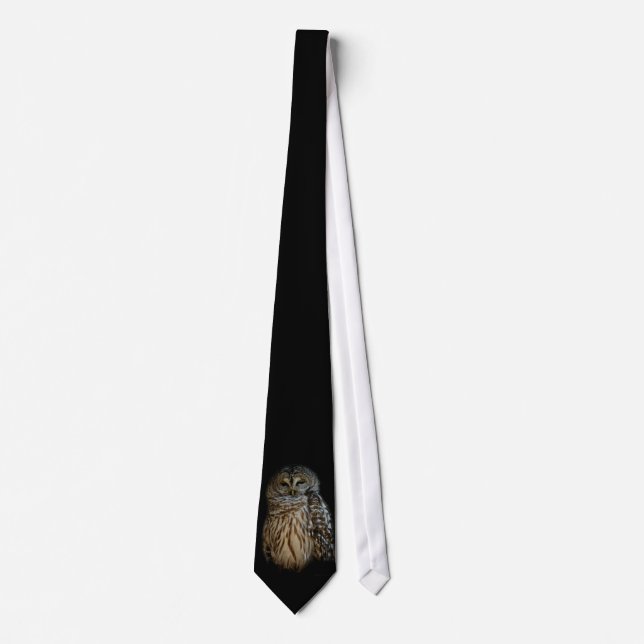 Sleepy Owl Tie (Front)