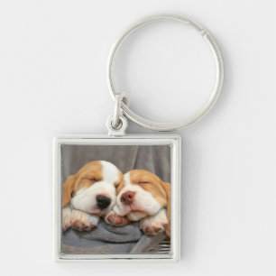 Sleepy Puppies Keychain