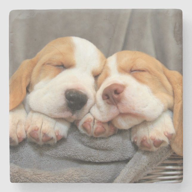 Sleepy Puppies Stone Coaster (Front)