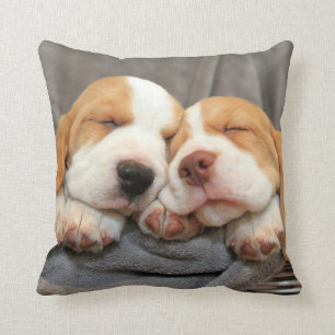 Sleepy Puppies Throw Pillow