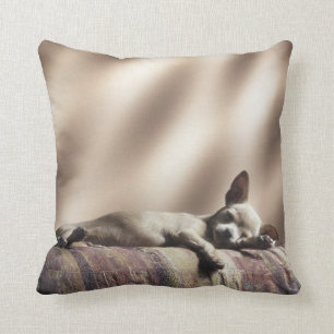 Sleepy Puppy Pillow