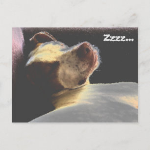 Sleepy Puppy Postcard