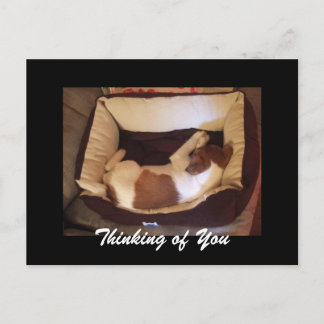Sleepy Puppy - Thinking of You Postcard
