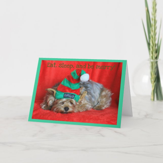 Sleepy Puppy Wearing Elf Hat Holiday Card (Front)