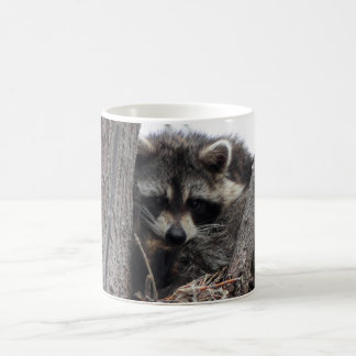 Sleepy Raccoon Coffee Mug
