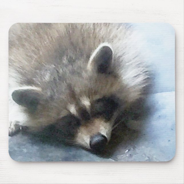 Sleepy Raccoon cub mouse pad (Front)