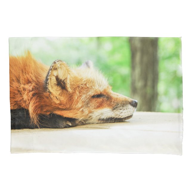 Sleepy Red Fox in the Country Wildlife Pillowcase (Front)