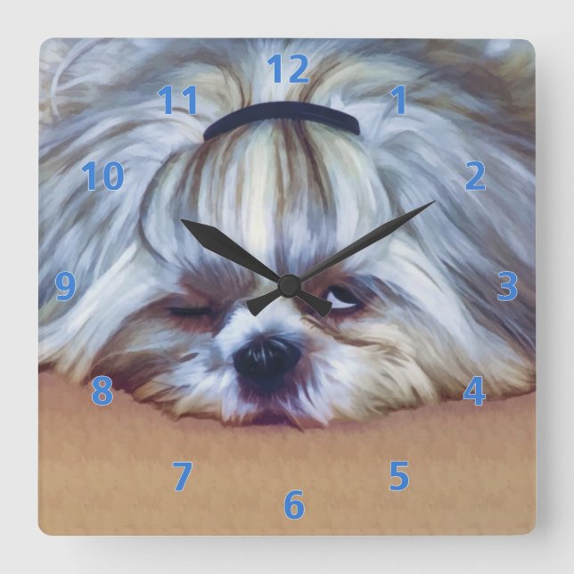Sleepy Shih Tzu Dog Square Wall Clock (Front)