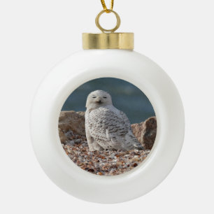 Sleepy Snowy Owl   Ceramic Ball Christmas Ornament