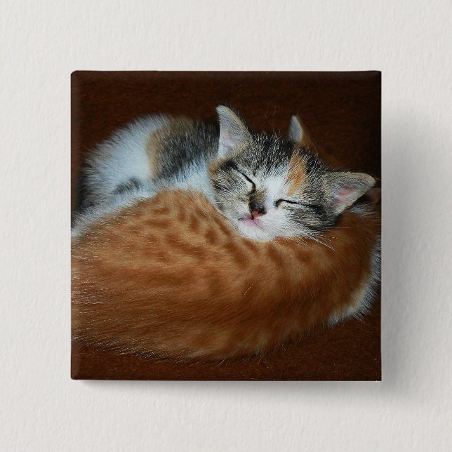 Sleepy soft kittens 2 inch square button (Front)