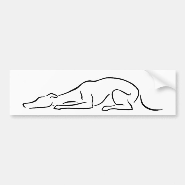 Sleepy Sphinxing Greyhound Bumper Sticker (Front)
