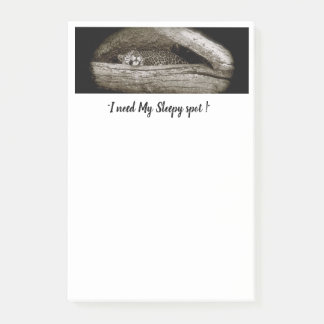 "Sleepy Spots" Post-It Notes, 4 x 6 Post-it Notes