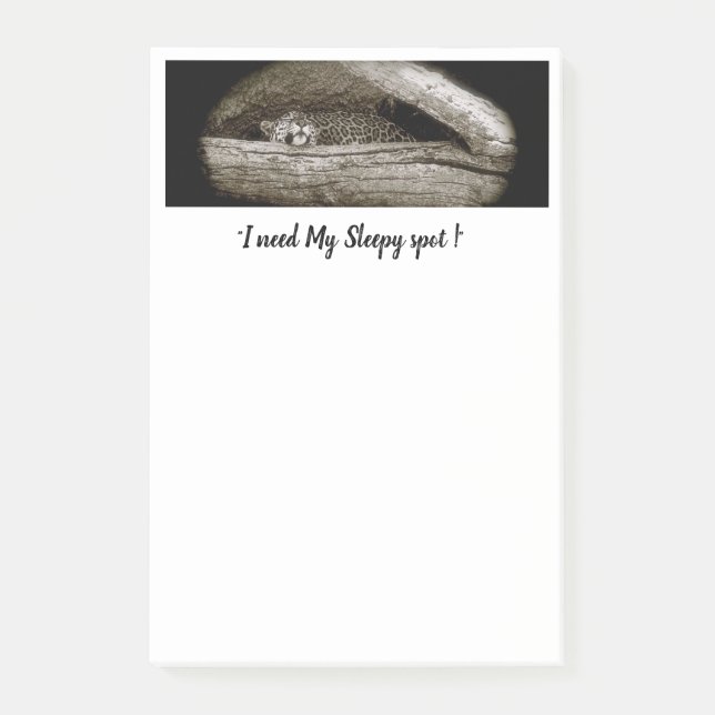 "Sleepy Spots" Post-It Notes, 4 x 6 Post-it Notes (Front)