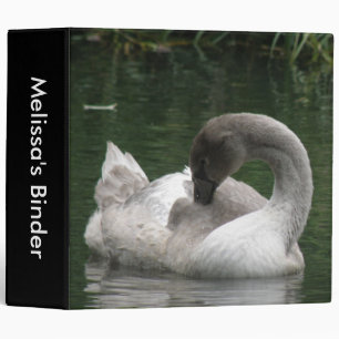 Sleepy Swan Custom Binder