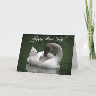 Sleepy Swan Custom Birthday Card