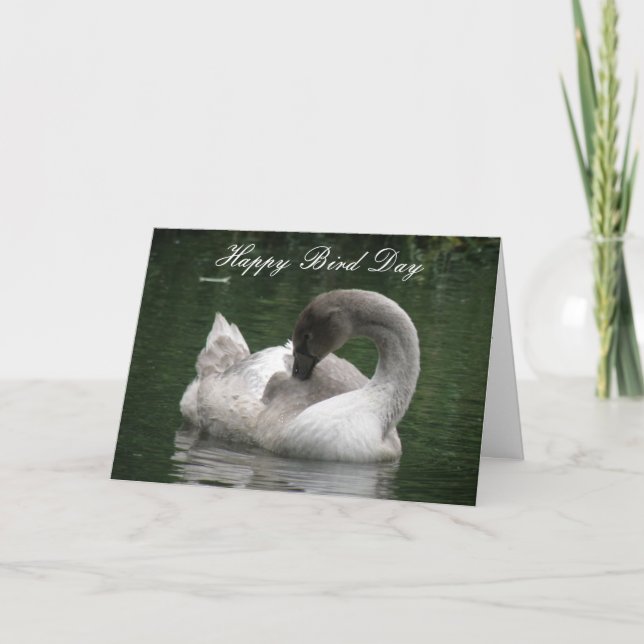 Sleepy Swan Custom Birthday Card (Front)