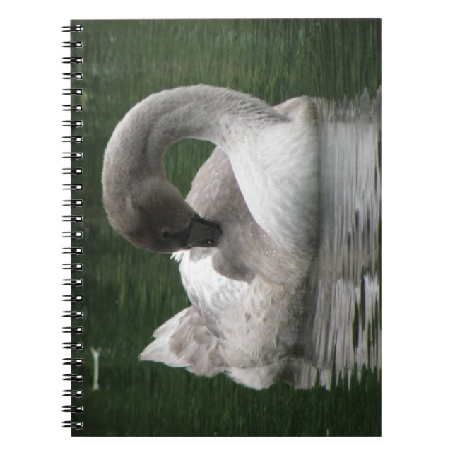 Sleepy Swan Notebook (Front)