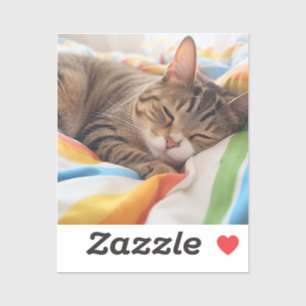 Sleepy tabby cat on colourful sheets