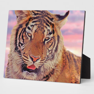 Sleepy Tiger - Plaque