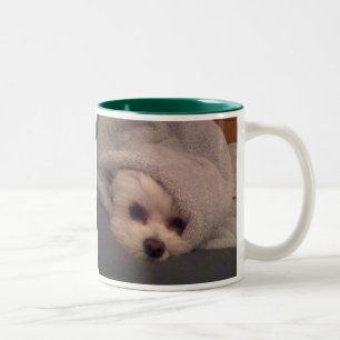 Sleepy time Maya Mug