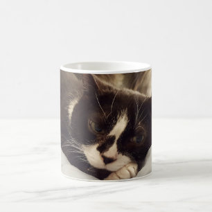 Sleepy Tuxedo cat mug