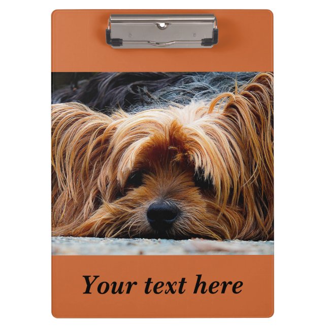 Sleepy Yorkshire Terrier Dog Photo Clipboard (Front)