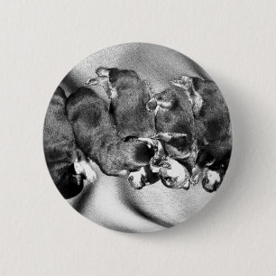 sleepyhead rottweiler puppies 2 inch round button