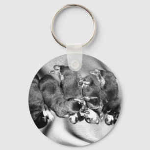 sleepyhead rottweiler puppies keychain