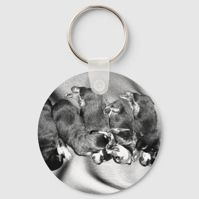 sleepyhead rottweiler puppies keychain (Front)