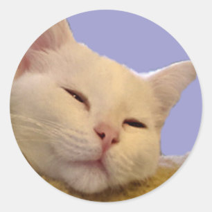 Sleepytime Classic Round Sticker