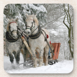 Sleigh Ride in the Snowy Forest Coaster