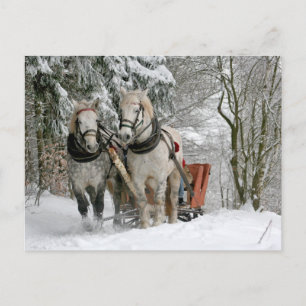 Sleigh Ride in the Snowy Forest Postcard