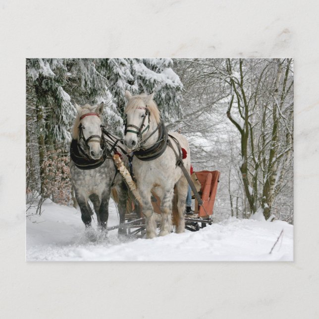 Sleigh Ride in the Snowy Forest Postcard (Front)