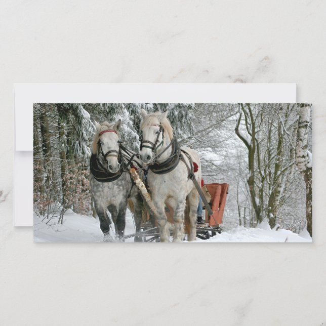 Sleigh Ride in Winter Wonderland (Front)