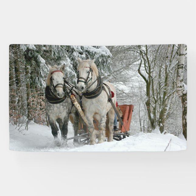 Sleigh Ride in Winter Wonderland Banner (Horizontal)