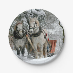 Sleigh Ride in Winter Wonderland Paper Plate
