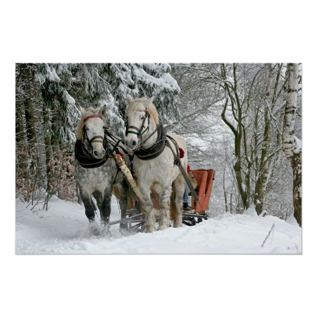 Sleigh Ride in Winter Wonderland Poster (Front)