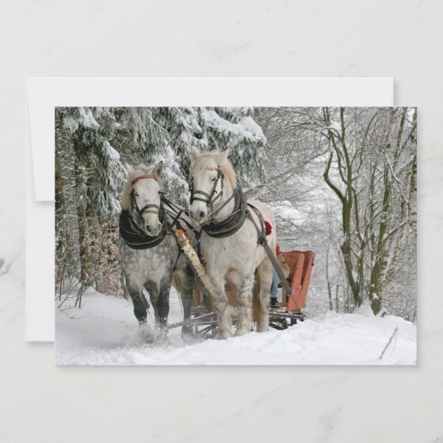 sleigh+ride,snow,forest,horse,winter,white,gallop, (Front)