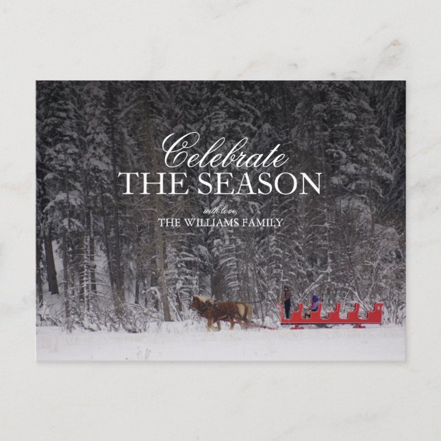 Sleigh Rides Through A Snowy Forest Postcard (Front)