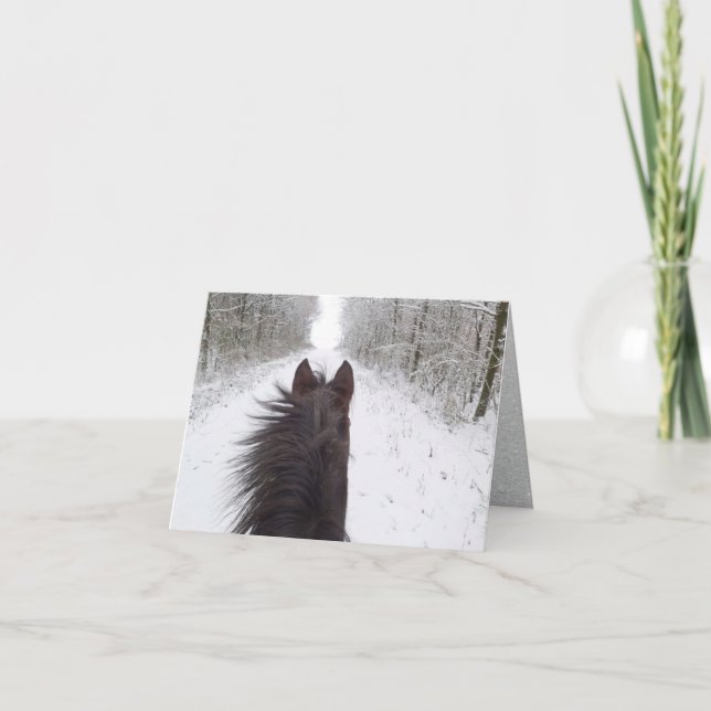 Sleigh View of Black Horse, Snowy Tree Lined Road Holiday Card (Front)