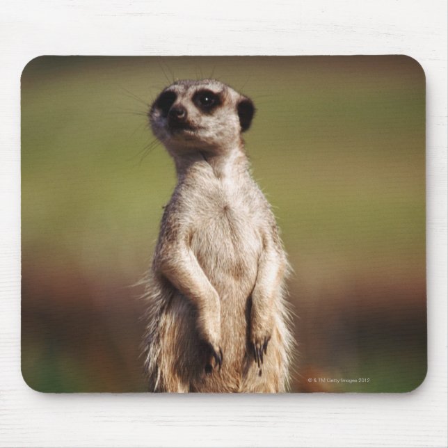 slender-tailed meerkat mouse pad (Front)