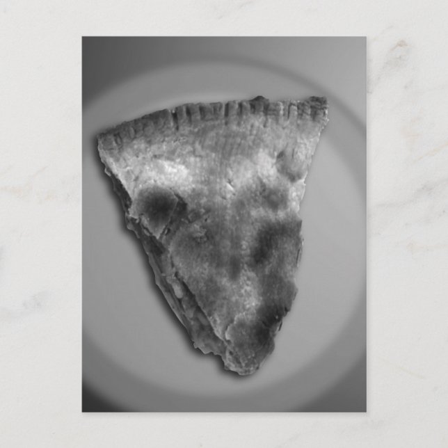 Slice of Apple Pie Postcard (Front)