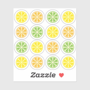 Slice of Lemon Orange Lime Fruit Citrus Decorative