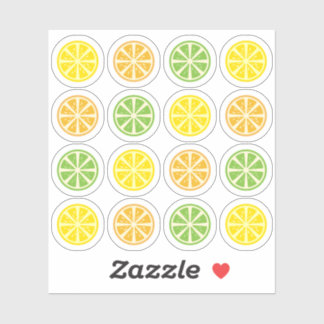 Slice of Lemon Orange Lime Fruit Citrus Decorative