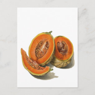Sliced cantaloupe melon illustration card
