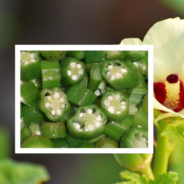 Sliced Okra Postcard (Creator Uploaded)