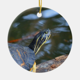 slider water turtle head out of shell ceramic ornament