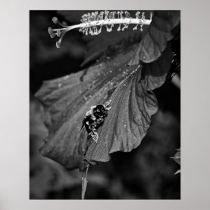 Sliding bee poster