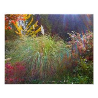 Slight Sun Rays Photo Print