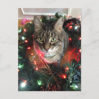 Slim Kitty Holiday Wreath Postcard